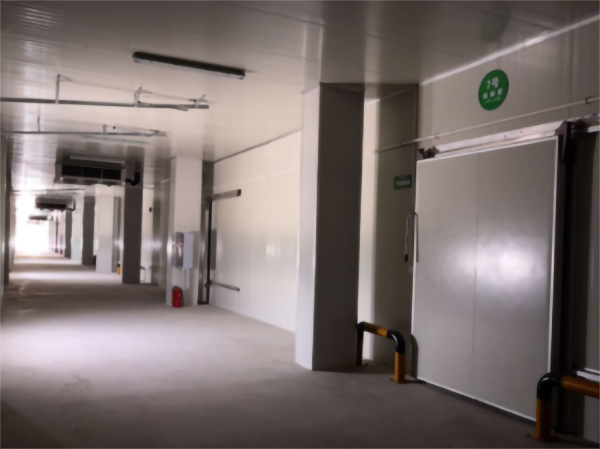 建一個5000立方香蕉冷藏冷庫大概要多少錢？