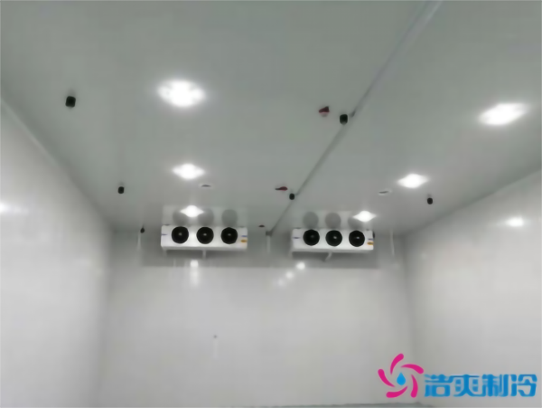 建造彩椒保鮮冷庫(kù)安裝費(fèi)用需要多少錢(qián)？