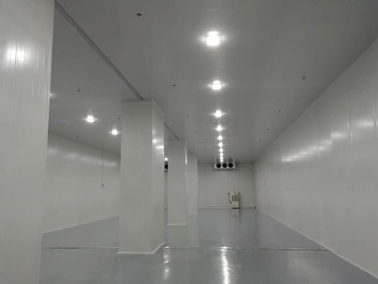 建設(shè)大型食品冷鏈物流冷藏庫費(fèi)用一般是多少？