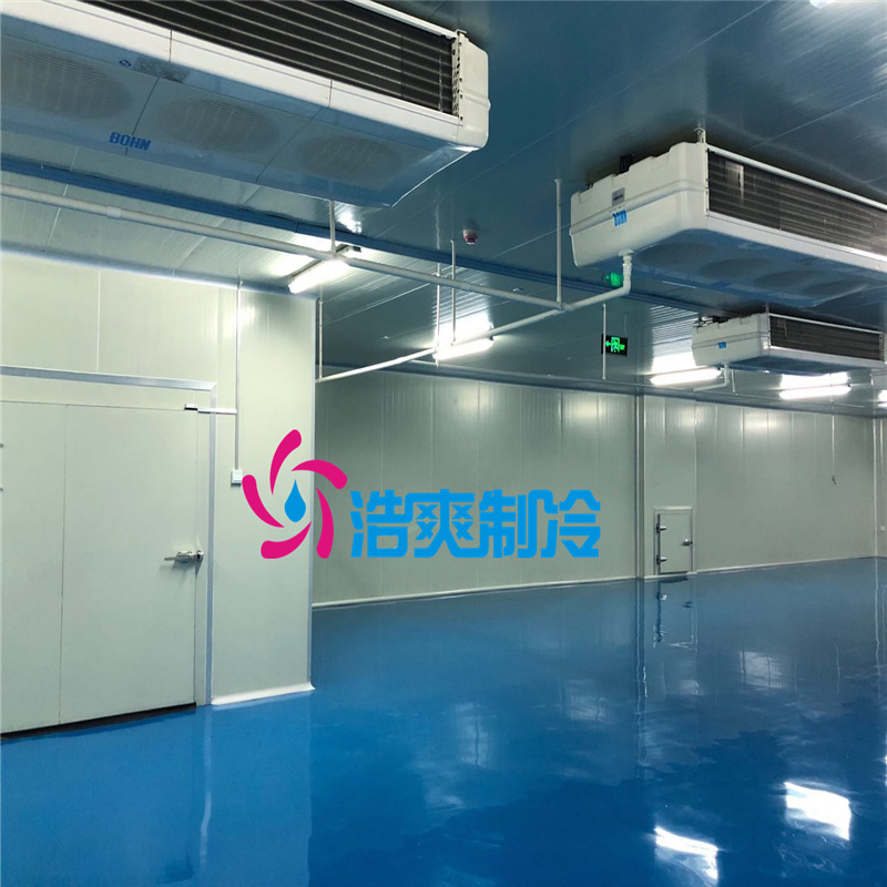 建造大型醫(yī)療冷藏庫所需要的費用價格是多少？