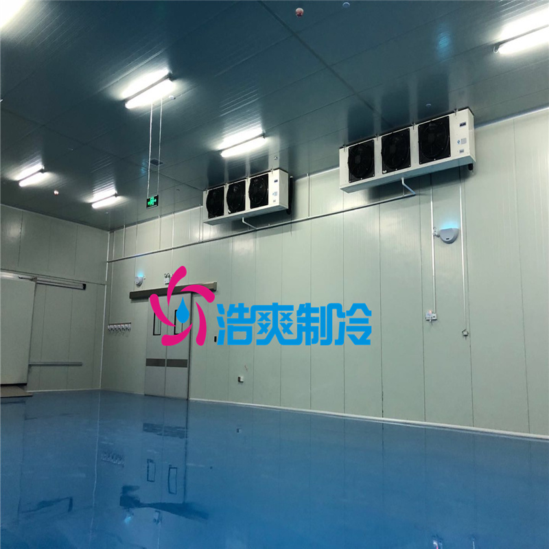 建造大型醫(yī)療冷藏庫所需要的費用價格是多少？