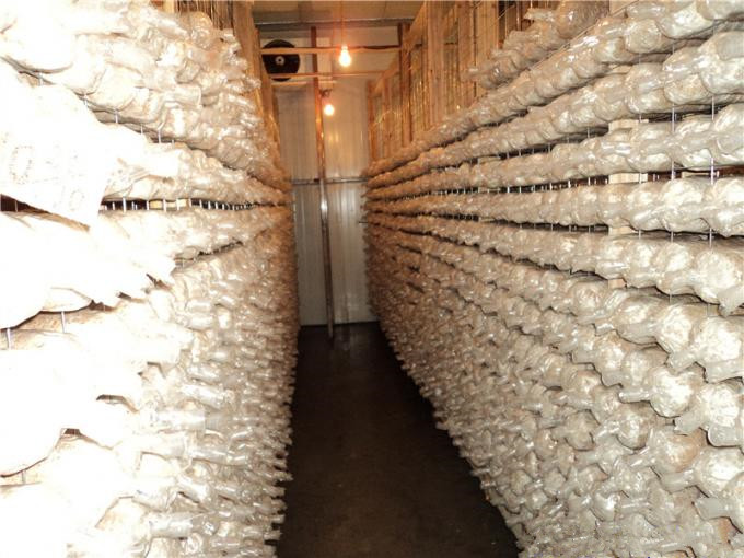 建一個(gè)100平方香菇冷庫全套要多少錢？
