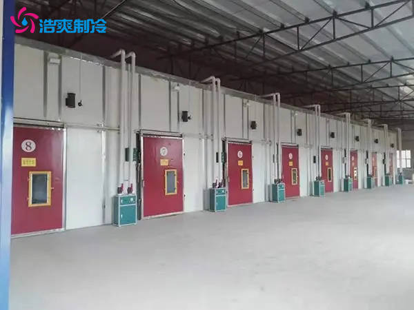 建造300立方米水果氣調(diào)保鮮冷庫(kù)大概多少錢(qián)？