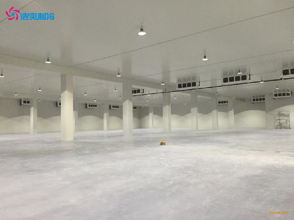 建造一個冷庫大概需要多少錢？