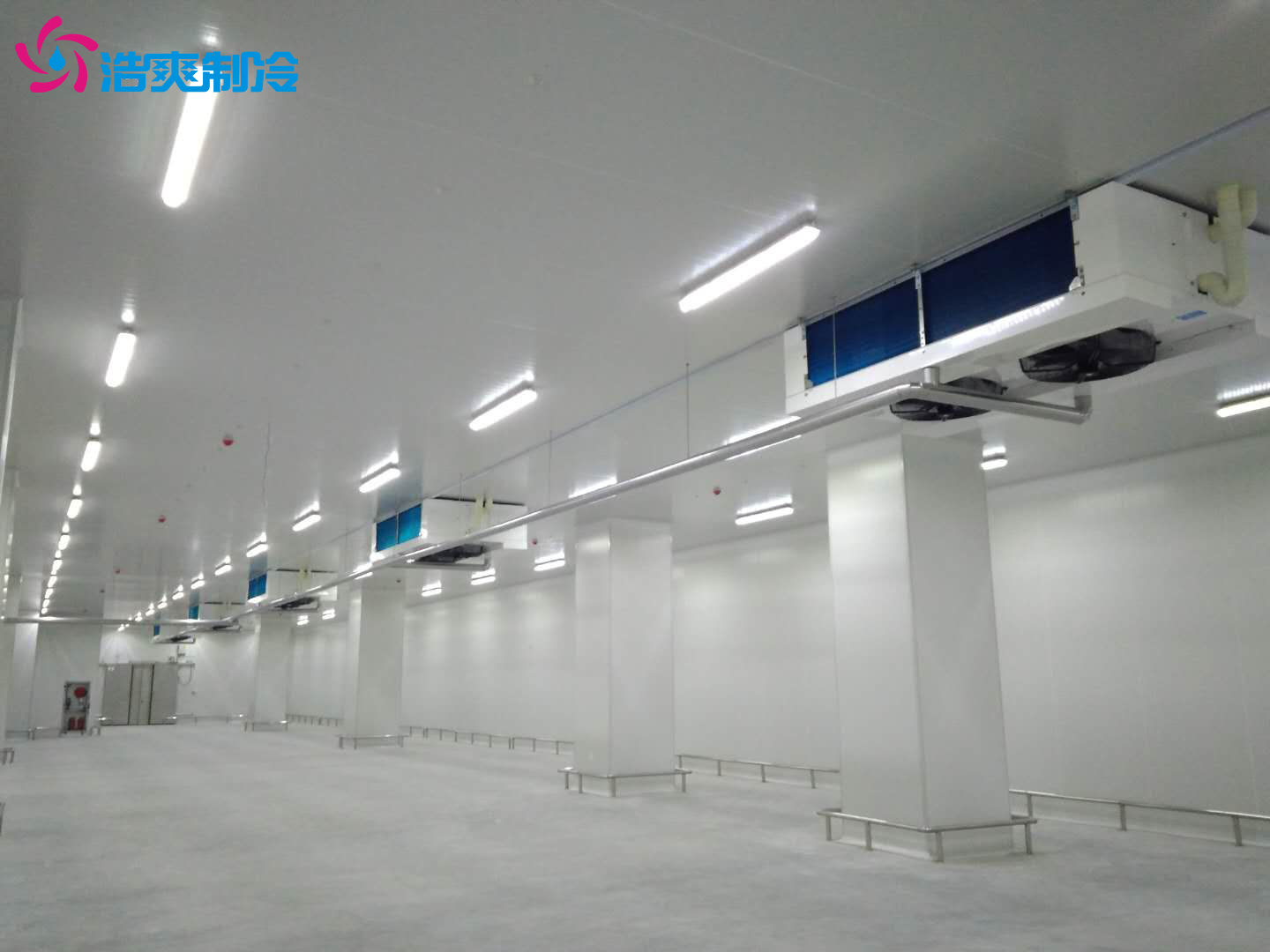 建造一個冷庫大概需要多少錢？
