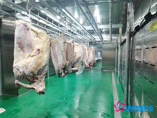 建造一個(gè)肉類排酸冷庫(kù)安裝造價(jià)成本大概多少錢？
