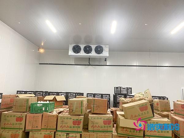 建設大型冷庫造價成本需要多少資金投入呢？