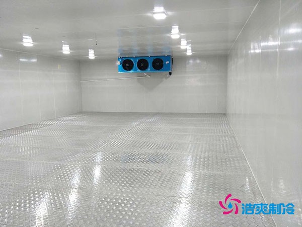 建造100平米-60℃存儲金槍魚的超低溫冷庫造價多少錢？
