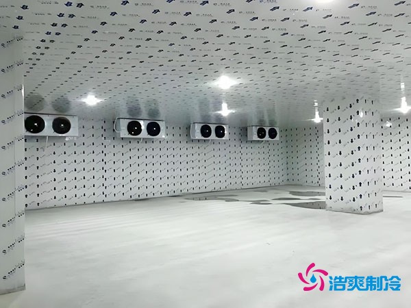 在市區(qū)建設一個100平方米的冷庫需要多少費用？