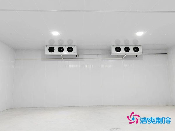 大約需要多少資金才能安裝一座小型移動式冷庫？