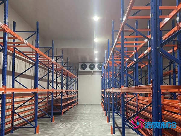 建中型冷庫要花多少錢？這些關(guān)鍵因素你必須知道-浩爽制冷