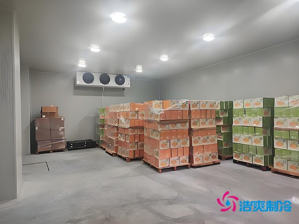 1000噸果蔬保鮮庫造價(jià)揭秘，節(jié)省成本就靠這幾點(diǎn)！