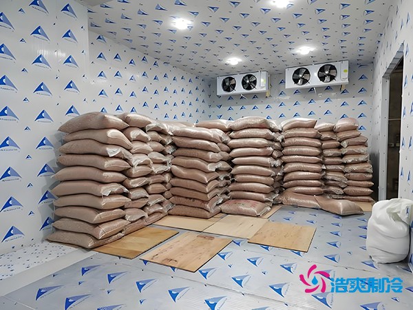 2萬起建種子冷庫？這些因素讓造價翻倍！