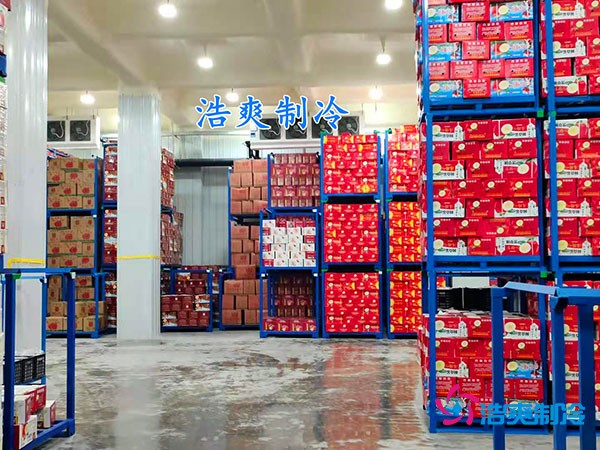 500平果蔬冷庫(kù)造價(jià)曝光！35萬(wàn)起建，省錢(qián)秘訣在這里！