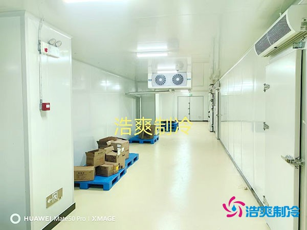 建造一個小型紅酒冷庫的大致造價費用多少錢？