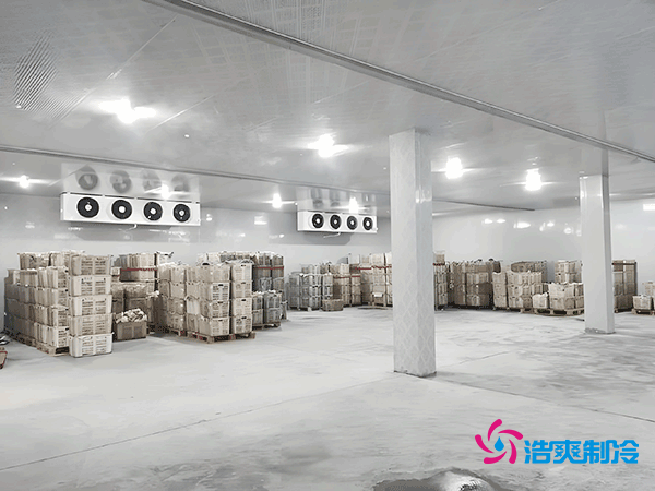 零下35℃制冰！建一個(gè)冷庫(kù)到底要花多少錢？