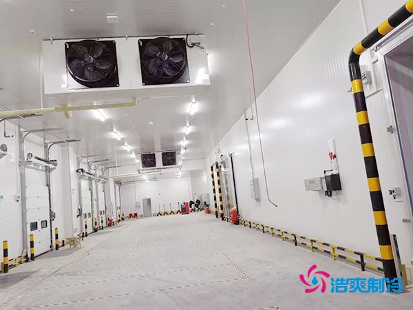 冷庫(kù)造價(jià)懸殊？揭秘每平米價(jià)格背后的秘密！