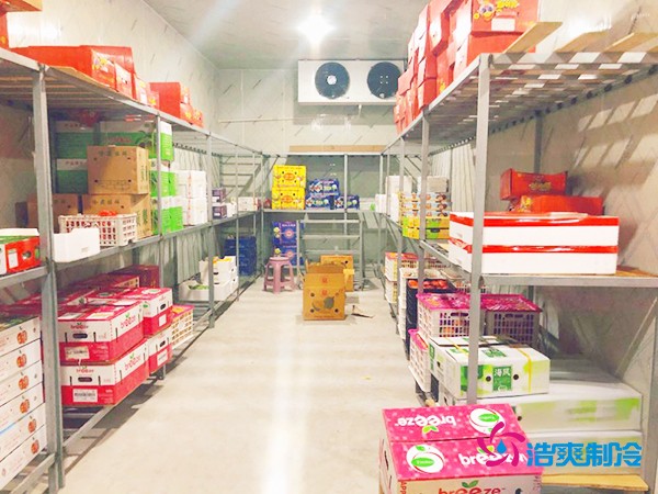 5噸水果需要多大冷庫(kù)？答案出乎意料！