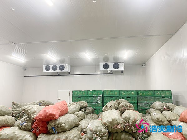 5噸水果需要多大冷庫(kù)？答案出乎意料！