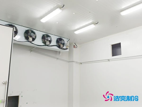 上海小型冷庫造價(jià)揭秘！2萬起真的靠譜嗎？