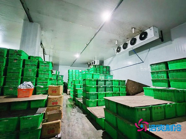 水果保鮮冷庫建造價格每平米多少錢？