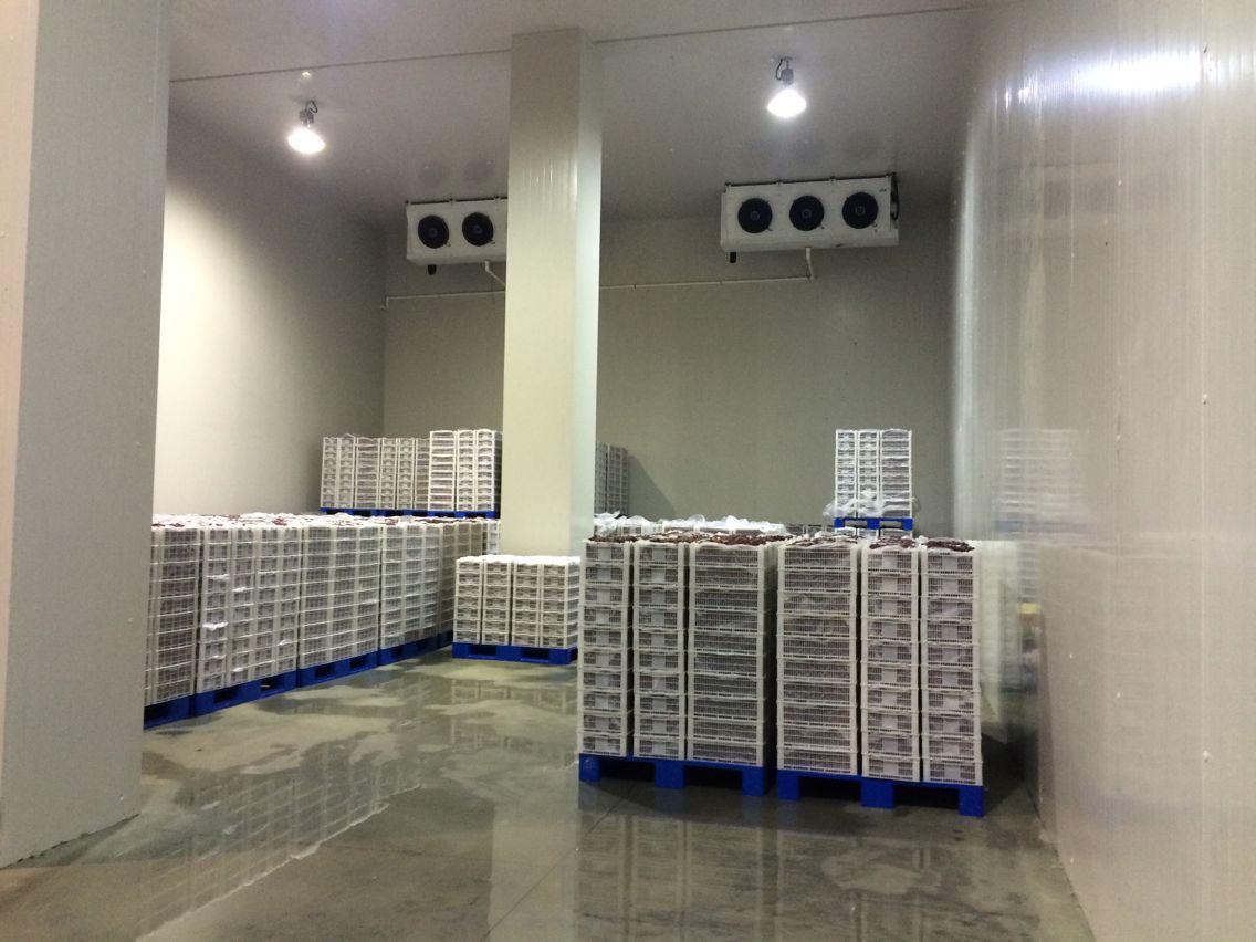 2000噸水果冷庫(kù)，冷庫(kù)安裝費(fèi)用多少