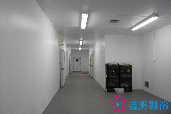 預建1000噸果蔬冷庫設計規(guī)劃，冷庫價格多少錢