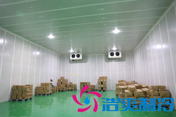 上海藥廠建造-20℃醫(yī)藥血漿冷庫，超低溫血漿冷庫定制預(yù)算多少