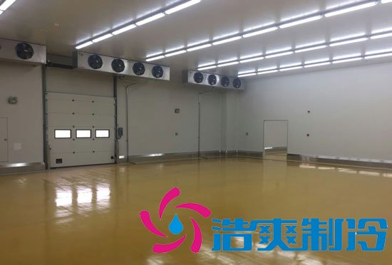 港口冷鏈冷庫市場趨勢和現(xiàn)狀，萬噸港口冷鏈低溫倉儲造價預(yù)算