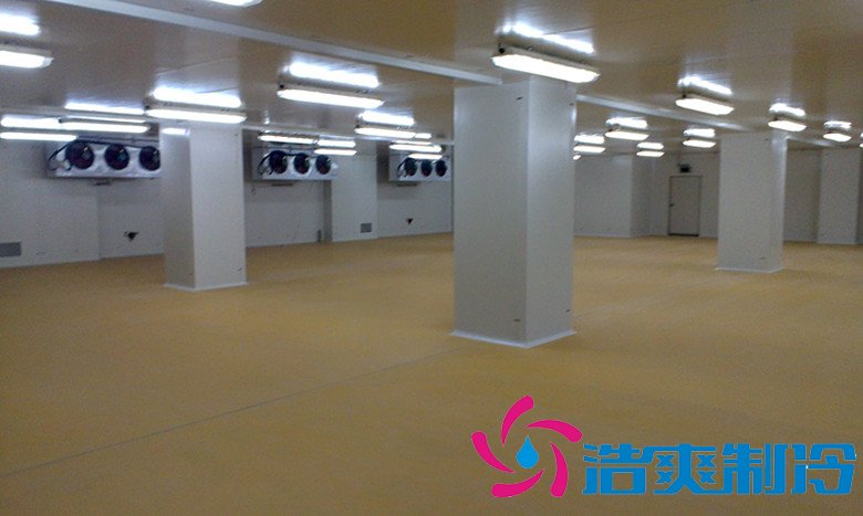 10000㎡冷鏈物流式冷藏庫建造技術(shù)及設備安裝成本多少錢