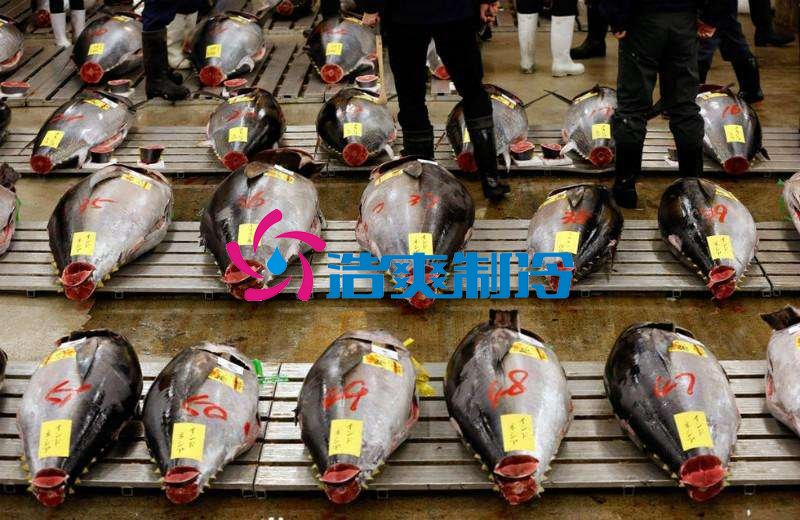 浩爽制冷，金槍魚冷庫，超低溫冷凍庫