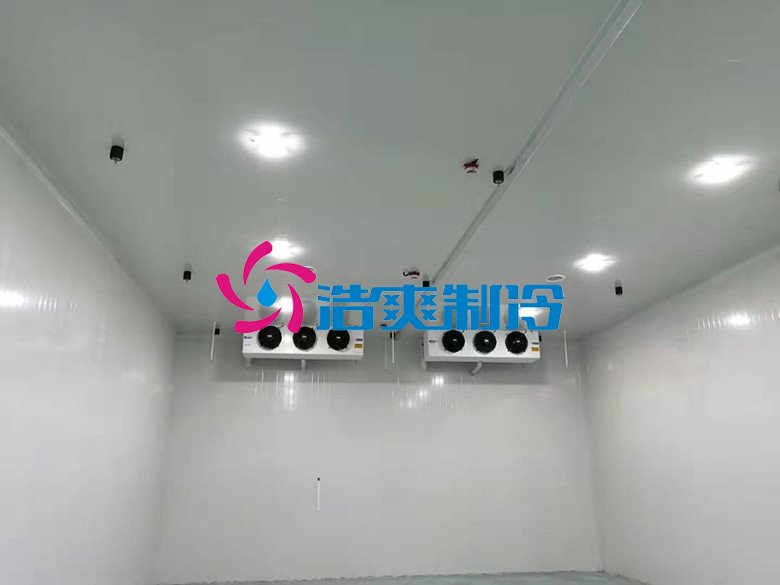 浩爽制冷，巧克力冷藏庫